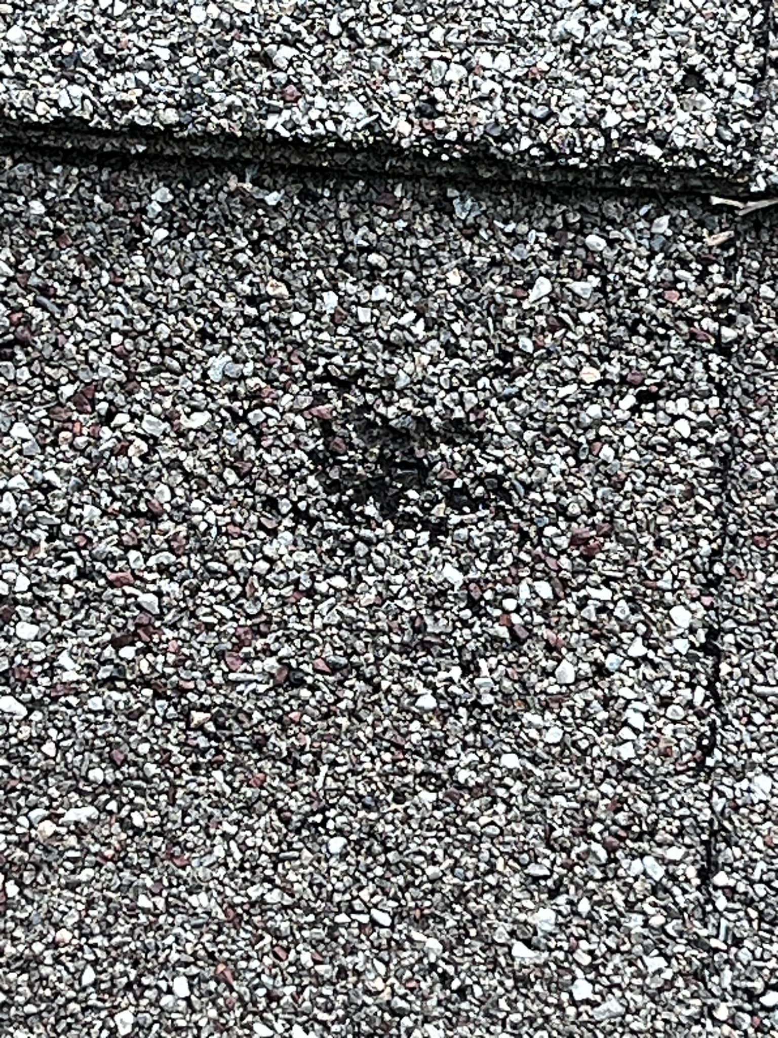 Hail Damage and Repair